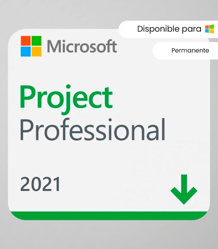 Project 2021 Professional