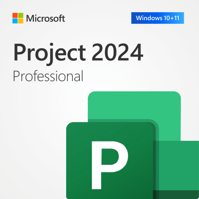 Project 2024 Professional Licencia Oficial | Windows